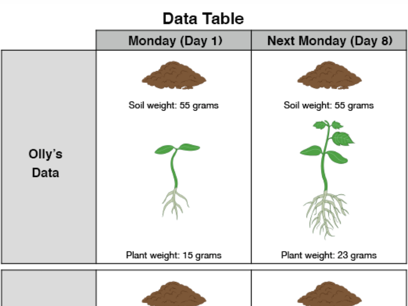 Screenshot of Vegetable Garden task; shows a data table with plant growth on Day 1 versus Day 8