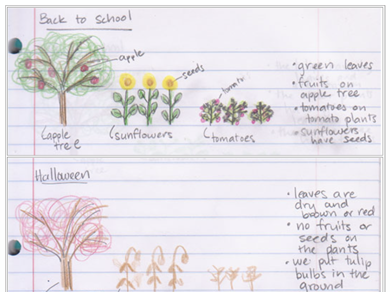 Screenshot of The Garden Club task art